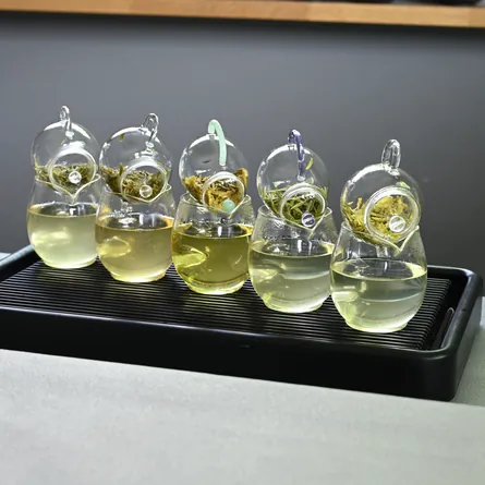 Chinese Green Tea Tasting Set