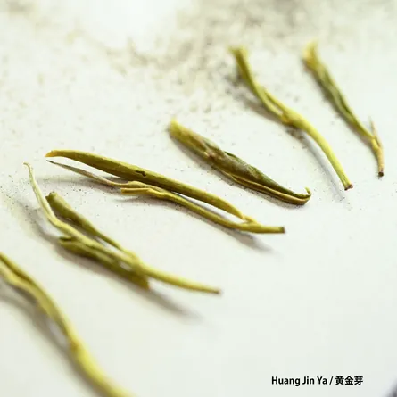Chinese Green Tea Tasting Set