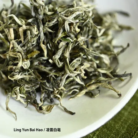 Chinese Green Tea Tasting Set