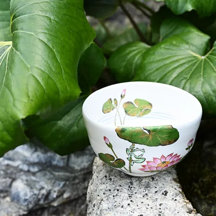 Chawan Haiyū Suiren ni Kaeru