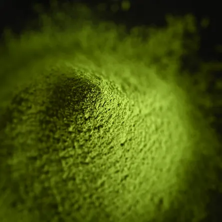 Matcha Tasting Set