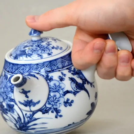 Shōami Sometsuke Kachō Kyusu