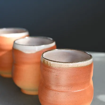 Hōzan Ekubo Yunomi