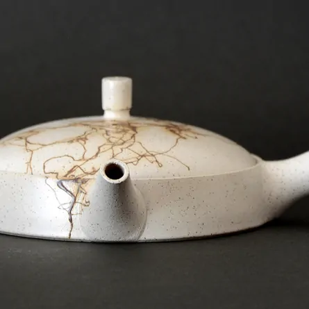 極平藻掛け急須 急須 横手急須 - Sazen Tea