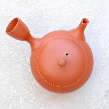 Hokuryu Shudei Hiramaru Small Kyusu