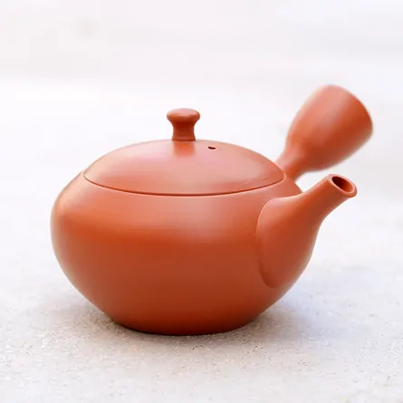 Hokuryu Shudei Hiramaru Small Kyusu