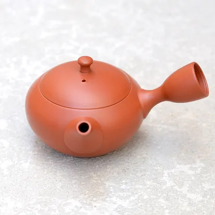 Hokuryu Shudei Hiramaru Small Kyusu