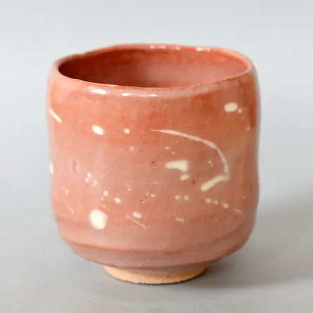 Akaraku Tsutsuchawan Seppen 