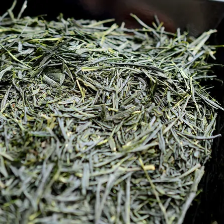 Ohmi Hatsutsumi Shincha