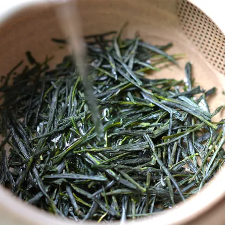 Ohmi Hatsutsumi Shincha