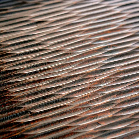 Suriurushi Nomime Kakubon