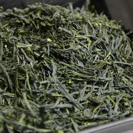 頓宮かぶせ茶おくみどり 