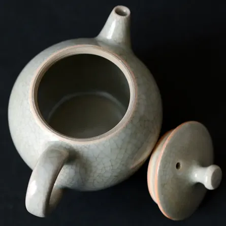 Seiji Ushirode Kyusu