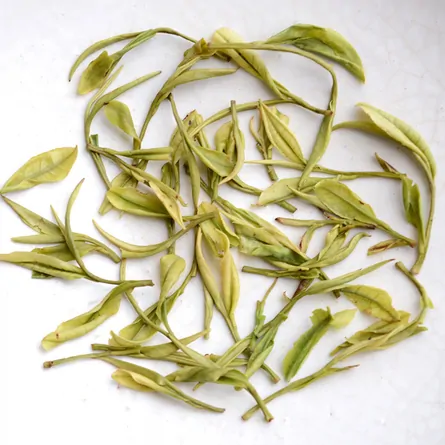 特級安吉白茶