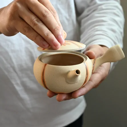 Taisen Hidasuki Hiragata Kyusu