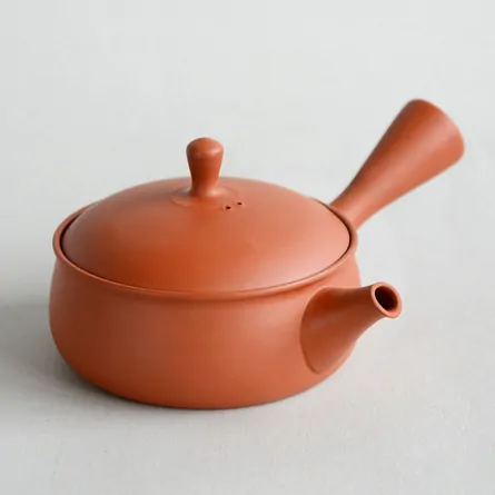 Kōshi Shudei Hirafukurogata Kyusu small