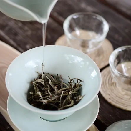 Yunnan Gu Shu White Tea