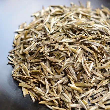 Fuding Jasmine Yin Zhen