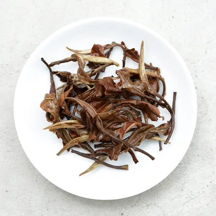 Yunnan Gu Shu Moonlight