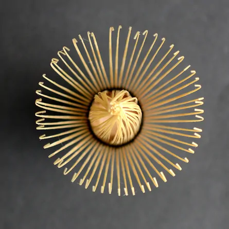 Aotake Shin Chasen Kubo Sabun