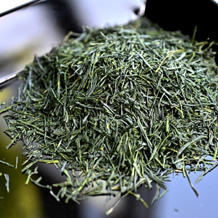 Shincha Kyonishiki