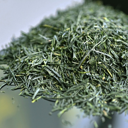 Shincha Satsuki