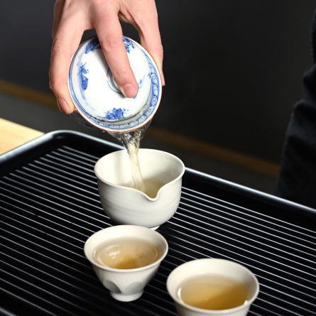 Feng Huang Dancong Huang Zhi Xiang Xue Pian