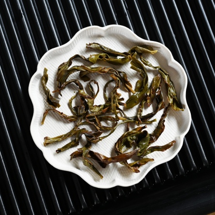 Feng Huang Dancong Huang Zhi Xiang Xue Pian