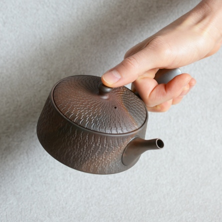 Gyokko Hiyohen Asagata Biri Kyusu