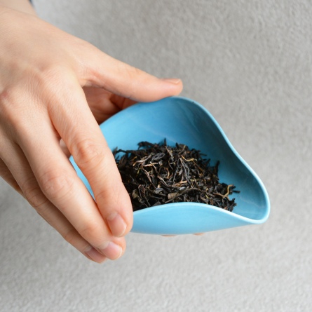 青茶荷 大