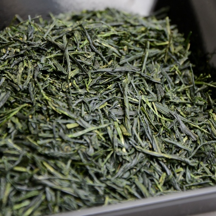 Tongu Kabusecha Saemidori