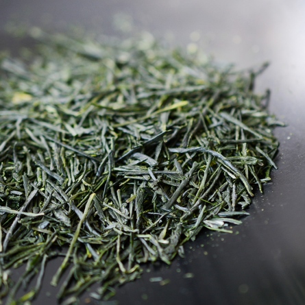 SHINCHA Ujimidori 
