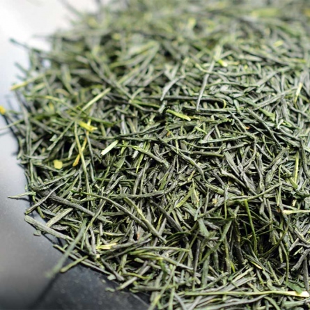 Shuppin Gyokuro Saemidori 