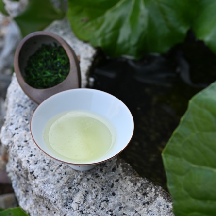 Ohmi Tokujo Shincha 