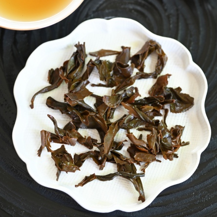 Ohmi Kōcha Sayama Kaori