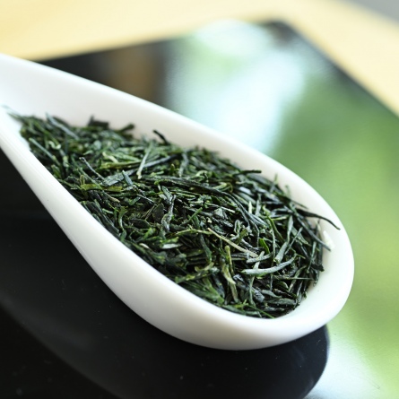 Wazuka Sencha Yabukita