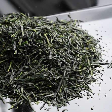 朝宮玉露おくみどり