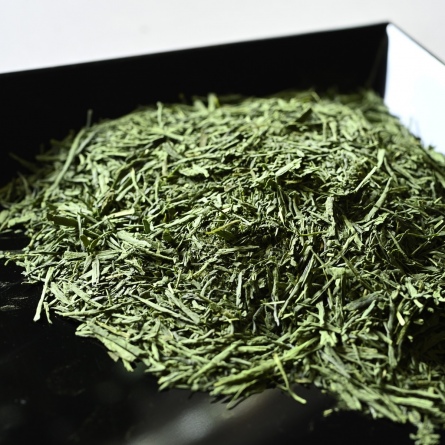 Matcha Iri Kabusecha