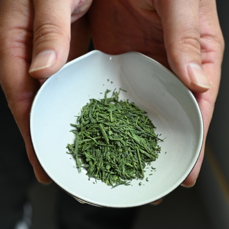 Matcha Iri Kabusecha