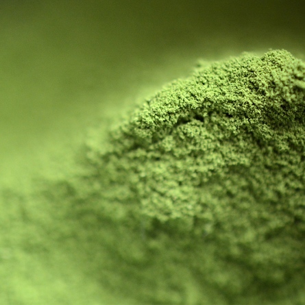 Matcha Ryoga