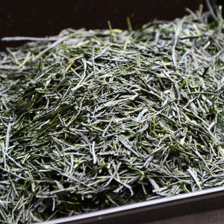 Sencha Unjo