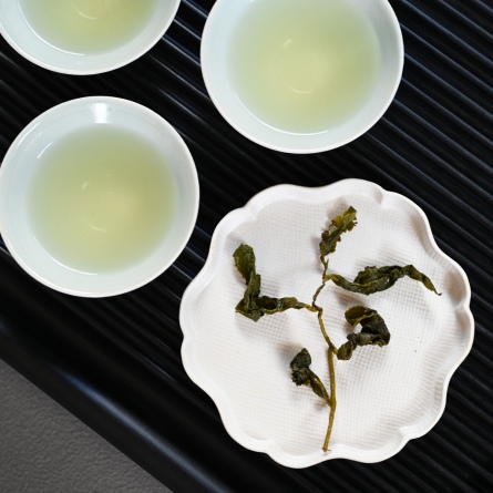 阿里山金萱茶冬茶 