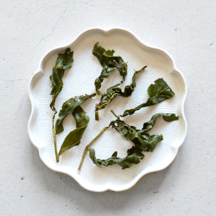 杉林溪高山茶 番仔田