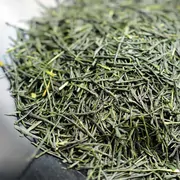 Shuppin Gyokuro Saemidori 