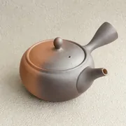 Isshin Yakishime Obiami Kyusu