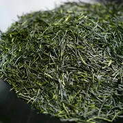 Kirishima Shincha Saemidori