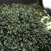 全国品評会出品釜炒り茶 