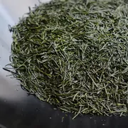 Award-Winning Sencha Blend