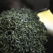 全国茶品評会出品玉緑茶