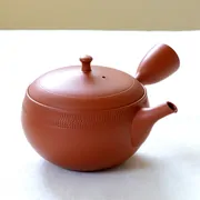 Hokuryu Shudei Tengara Kyusu